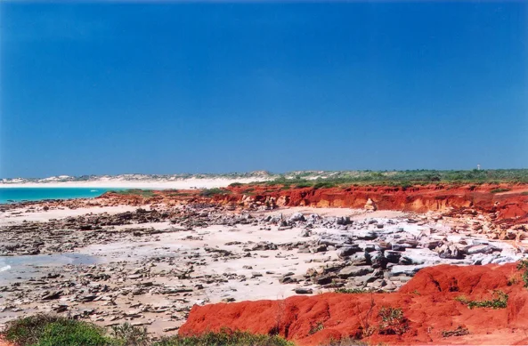 broome2003 001.jpg