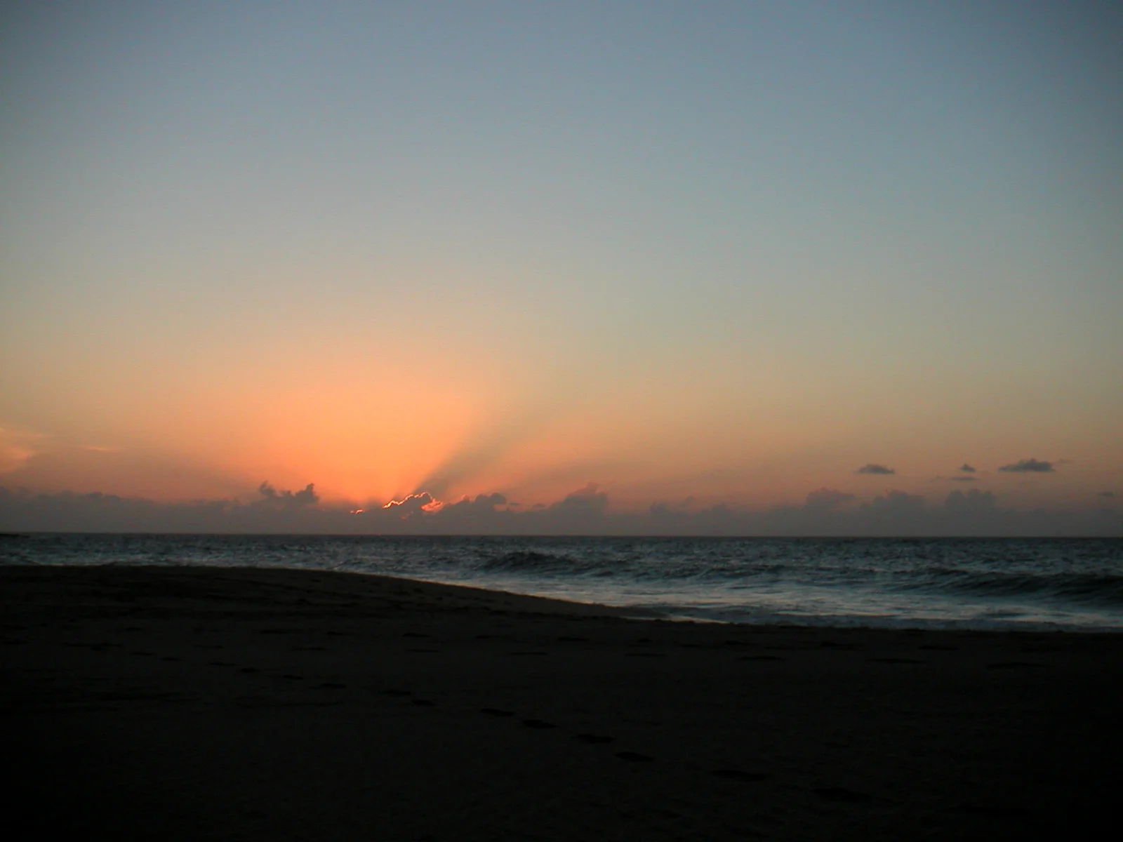 noronha006_2004.jpg