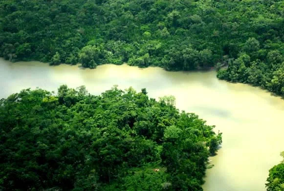 Amazonia, 2009