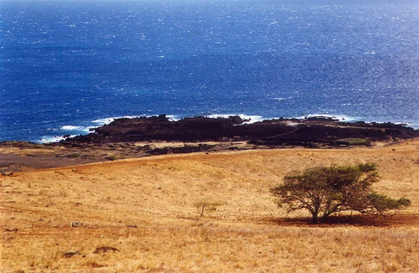 Maui, 2000