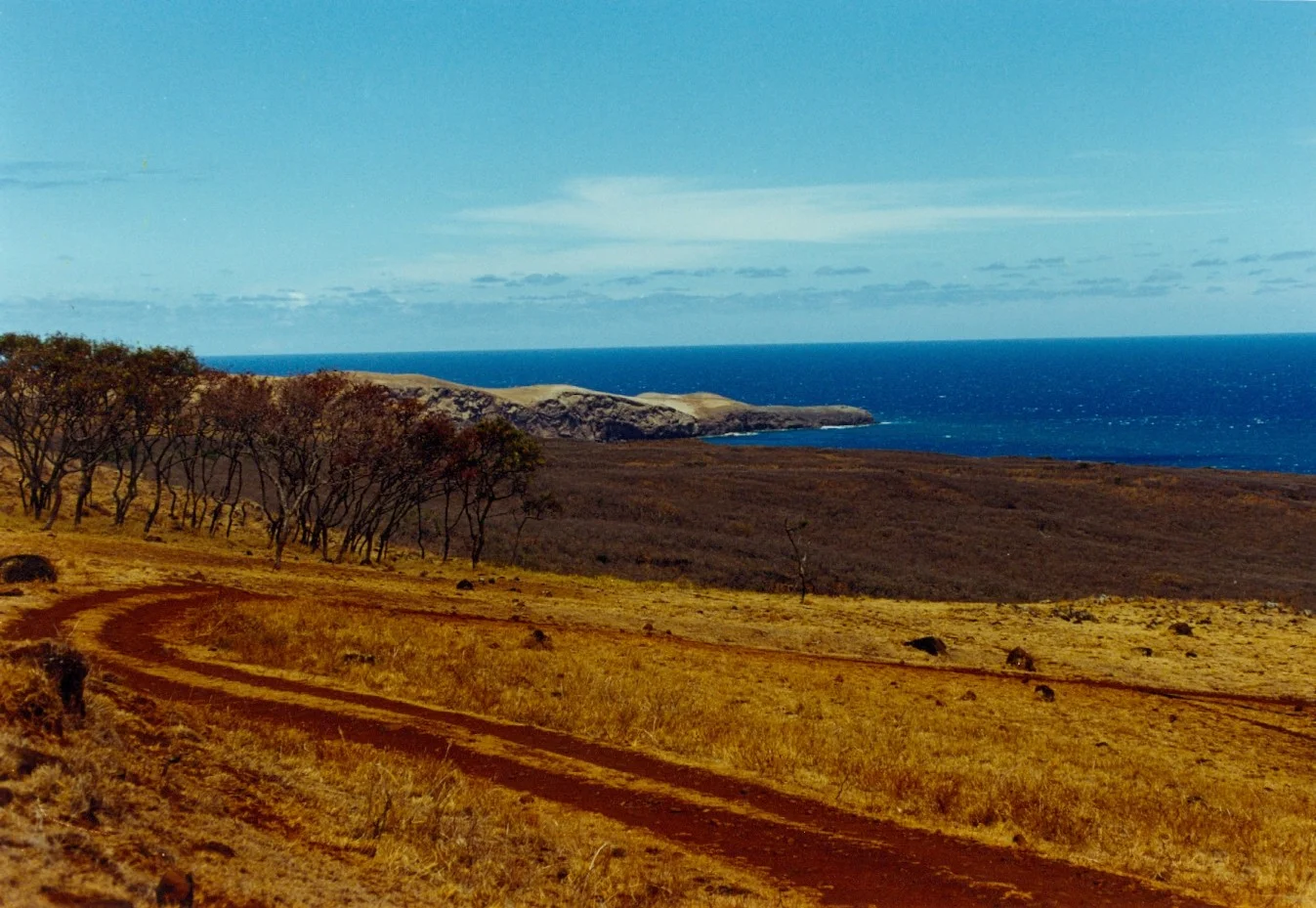 Maui, 2000