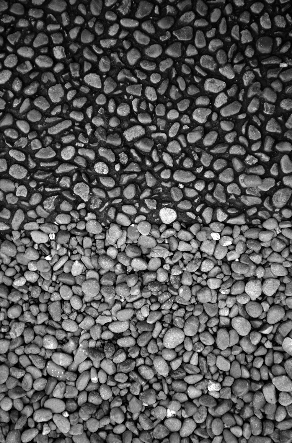 _DSC3031.jpg