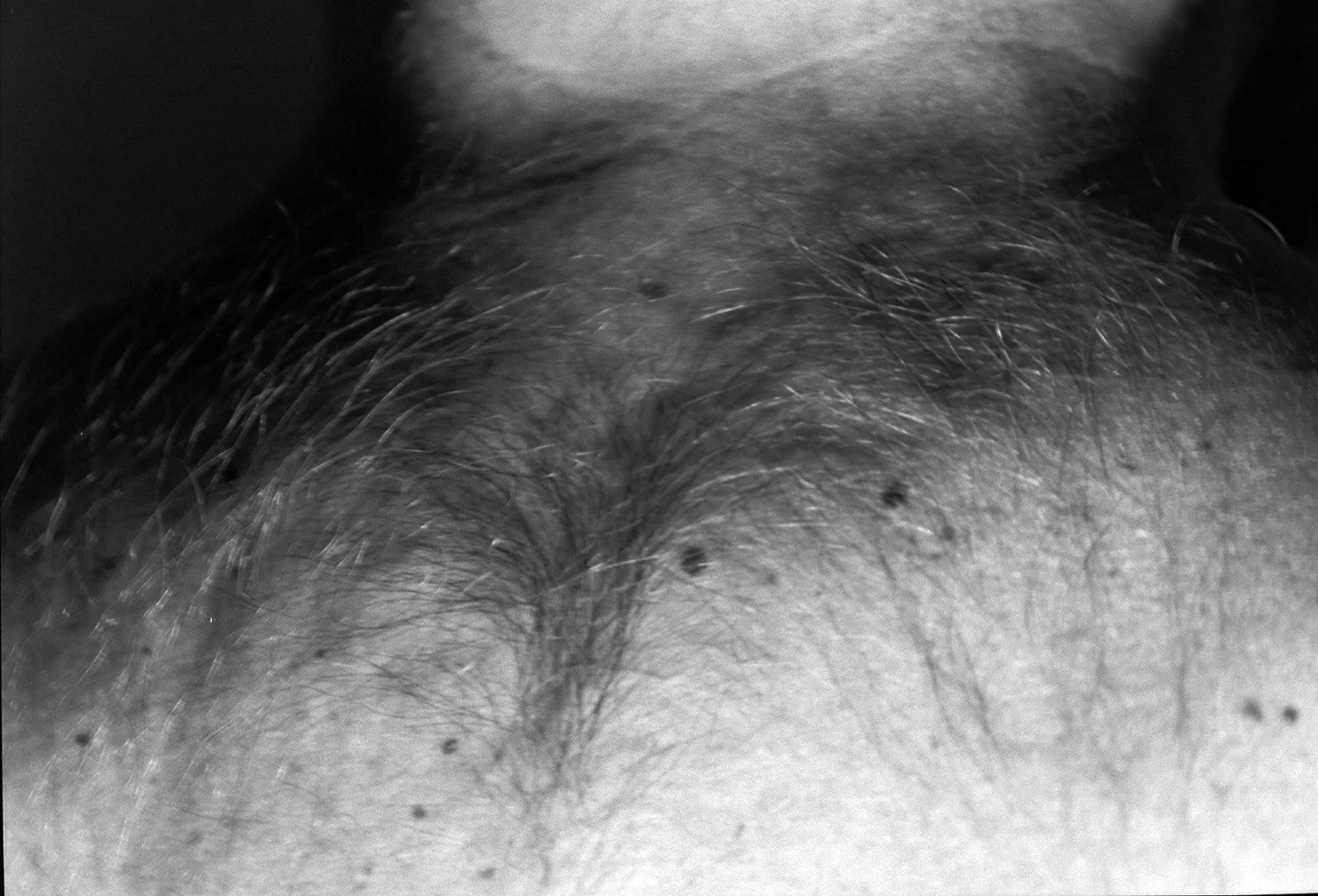 PICT0114a.jpg