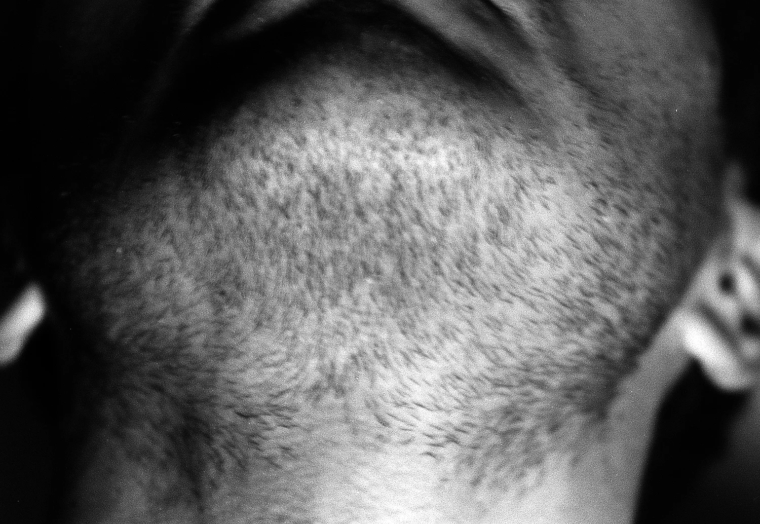 PICT0120a.jpg