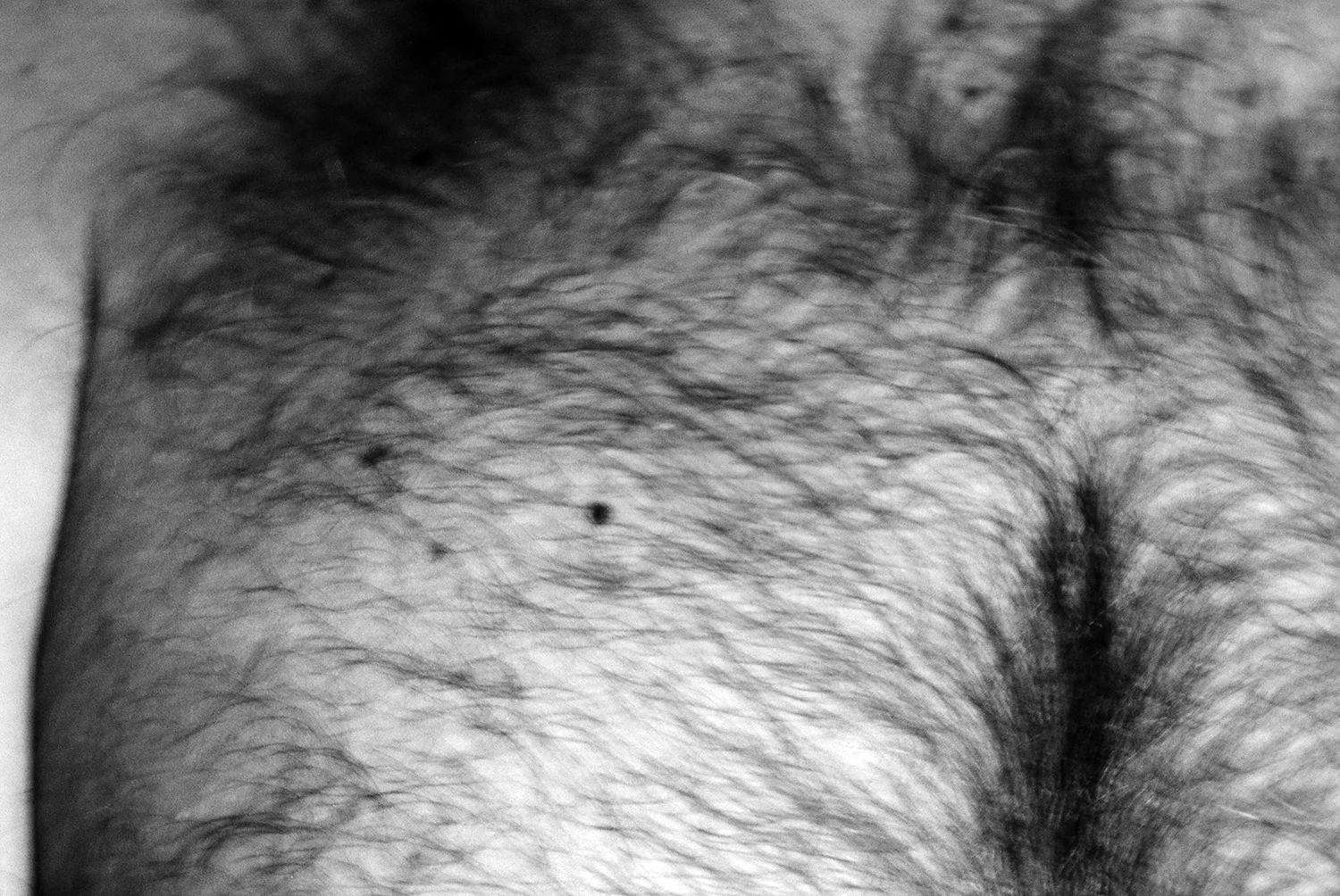 PICT0126a.jpg