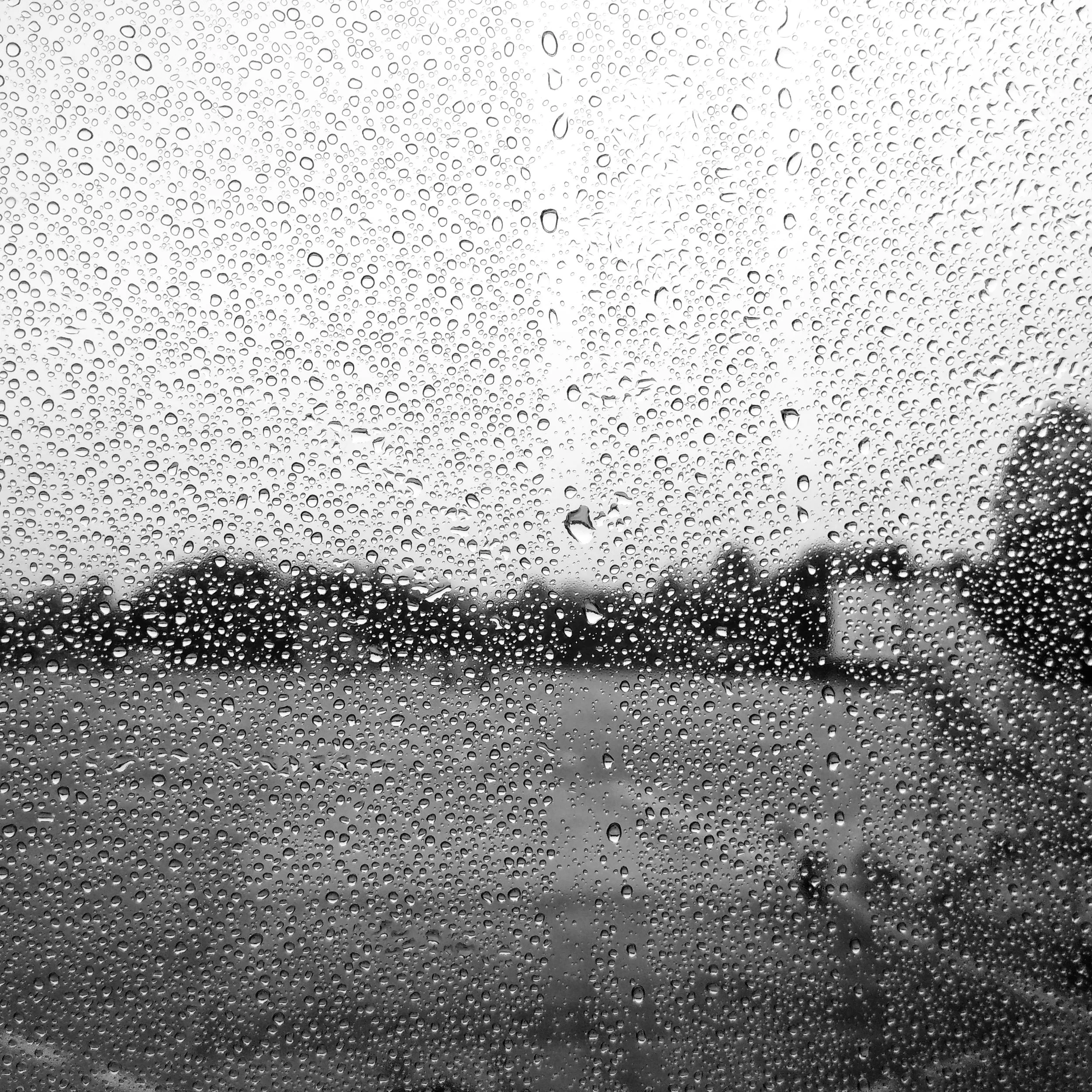 IMG_20171212_083008 copy.jpg