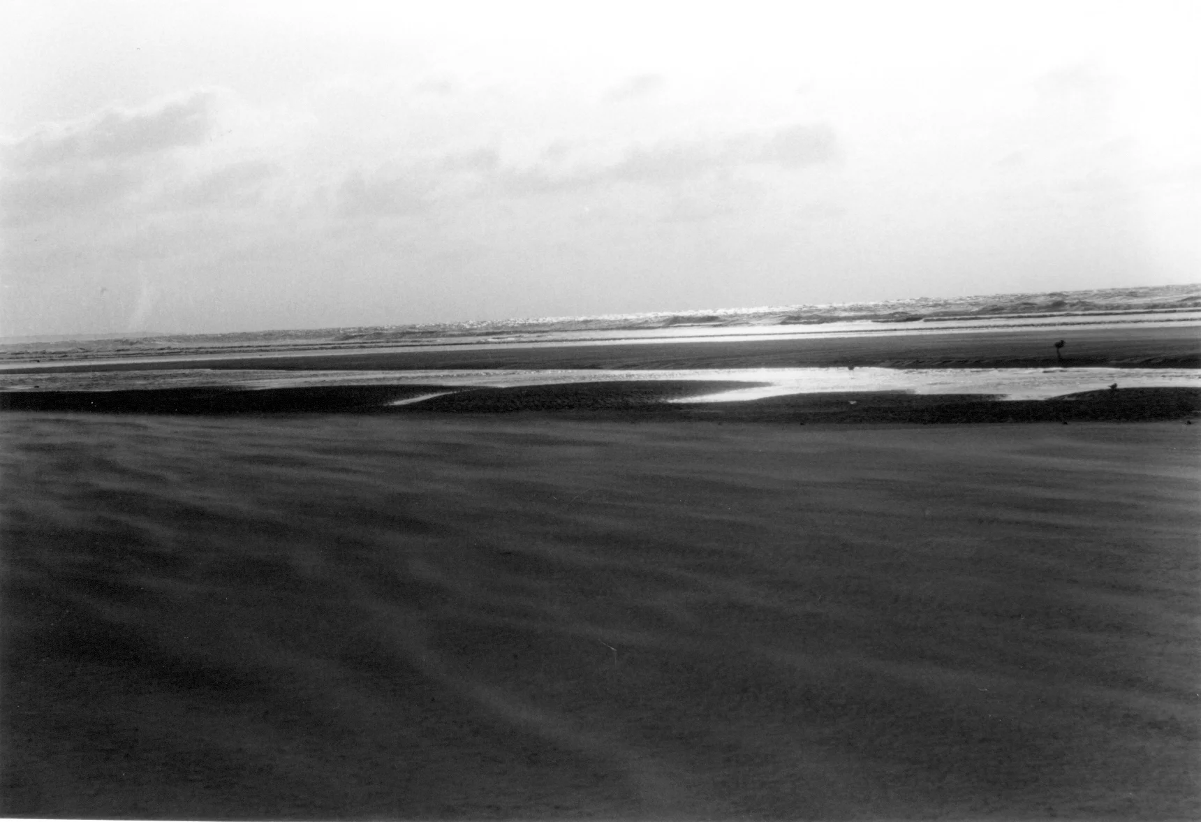 img0077 copy.jpg