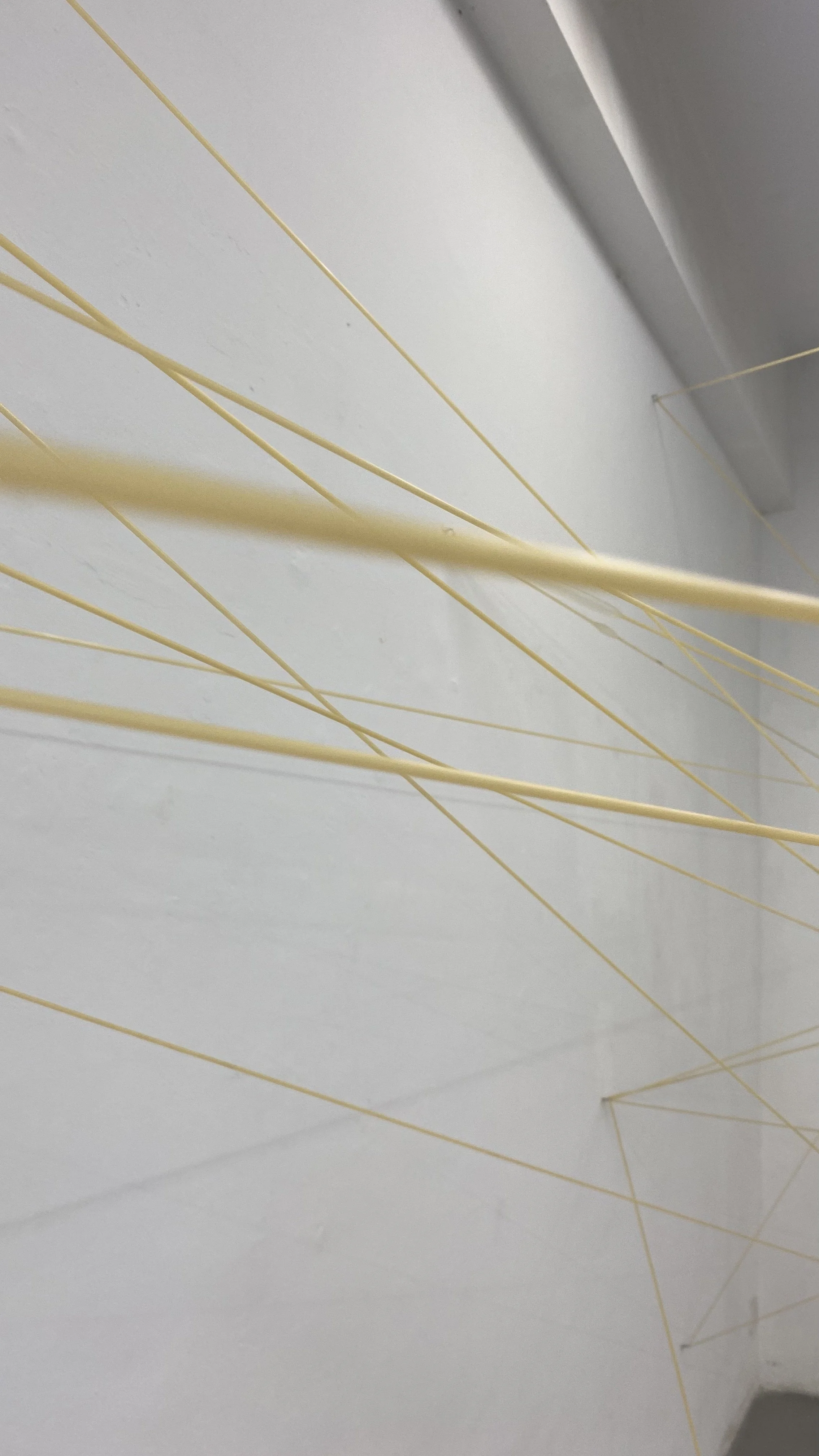 the gallery will be closed - Xiamen 7.jpeg