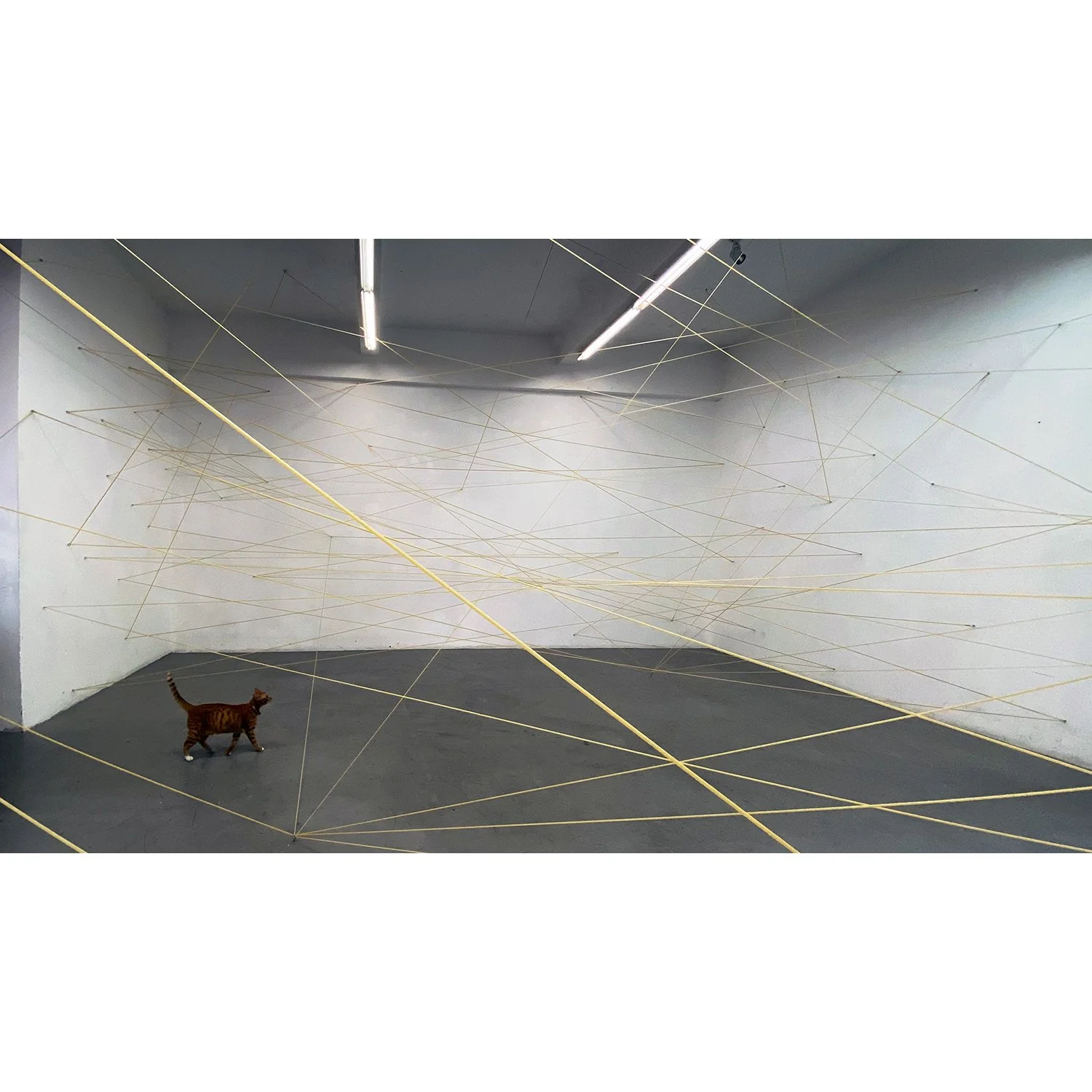 the gallery will be closed - Xiamen 30.jpeg