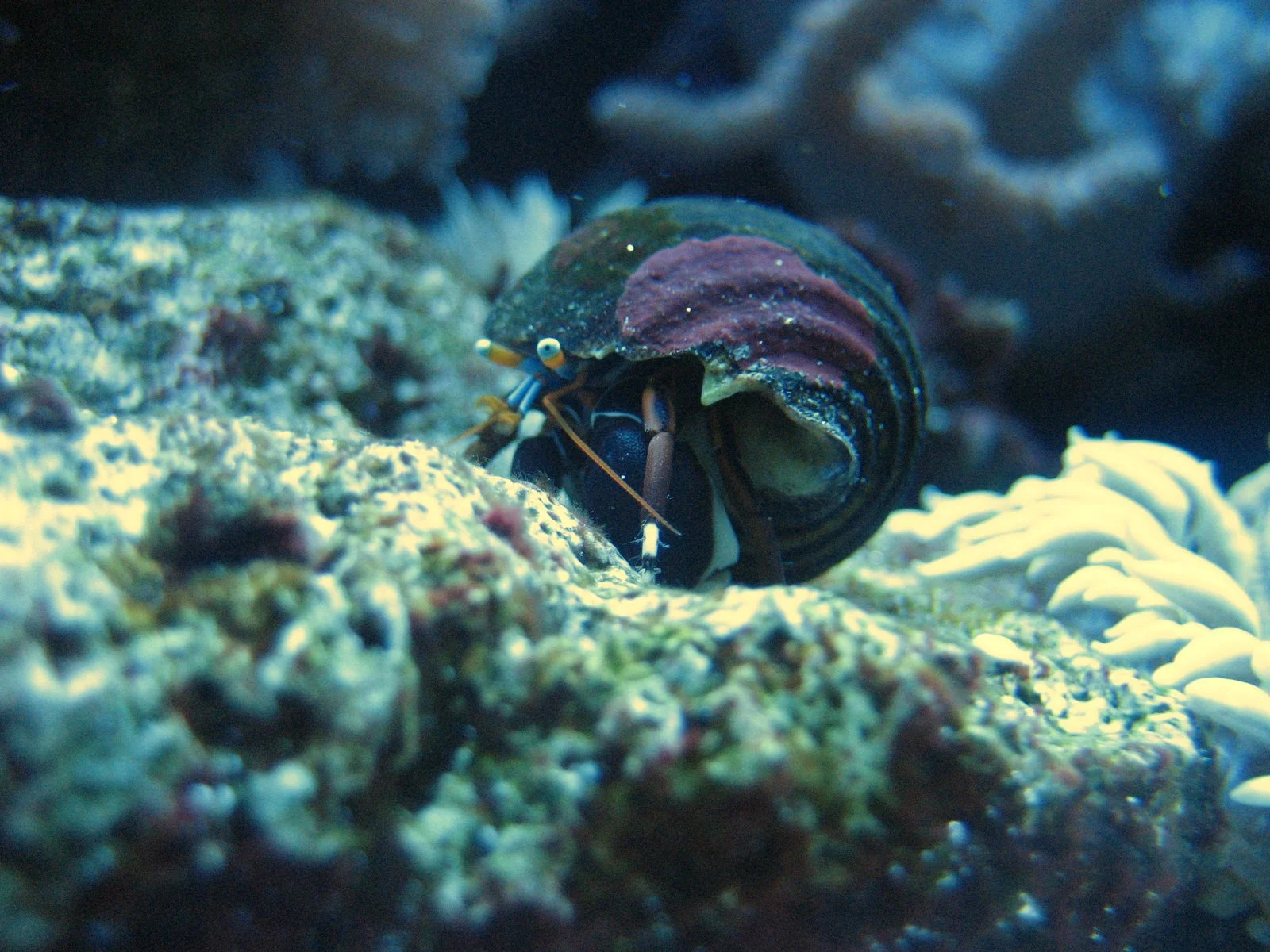 IMG_0288.JPG