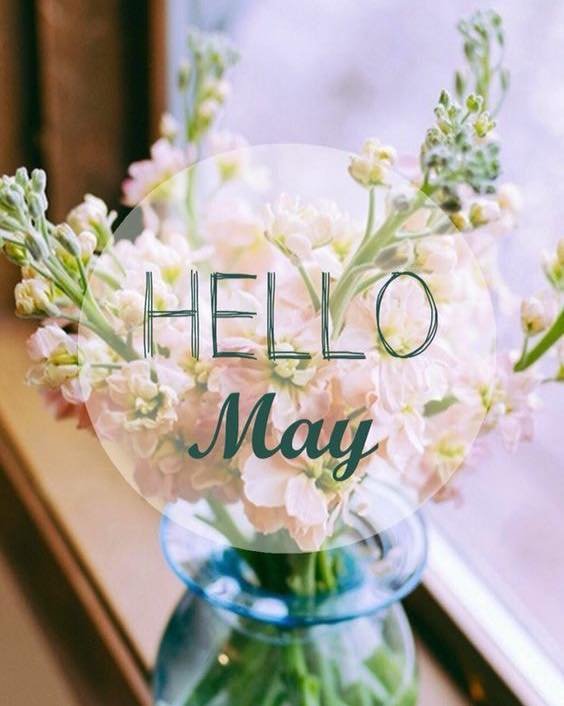 &ldquo;A new month is a chance to refresh, refocus, and renew your zest for life&rdquo; 💐
#may1st
#lowryskincare #thehairandimagestudiolowry #healthyhairwecare #lowryhairsalon #lowrybeautyteam #denverbeautyteam #denverhealthyhaircare #lowrybeauty #l