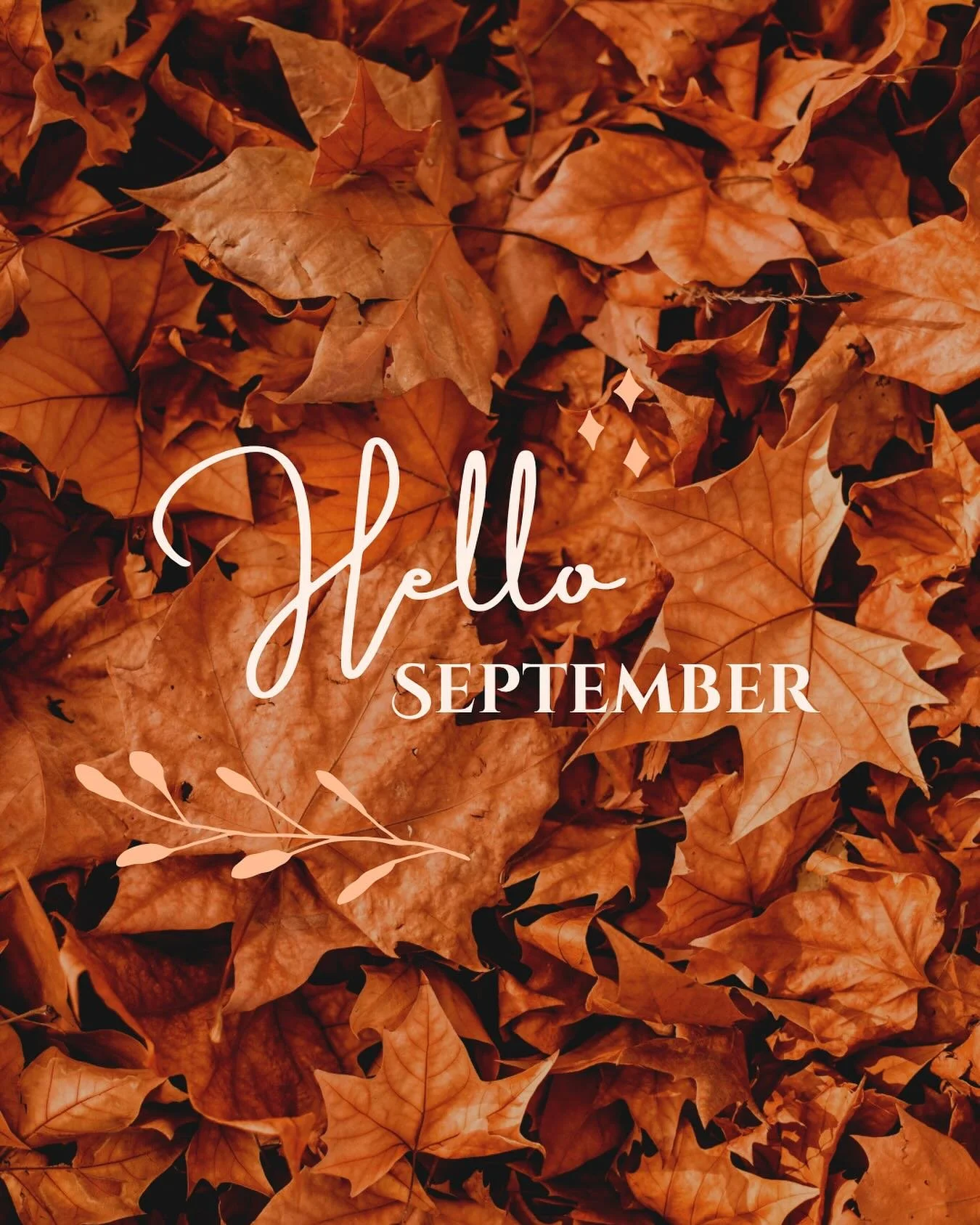 🍂 September is here and it&rsquo;s the perfect time to refresh your look! Whether you&rsquo;re bouncing back from summer or gearing up for fall events, we&rsquo;ve got you covered.

✨ Featured Favorites
&bull; Hair: Jbev BondAid &ndash; your &ldquo;