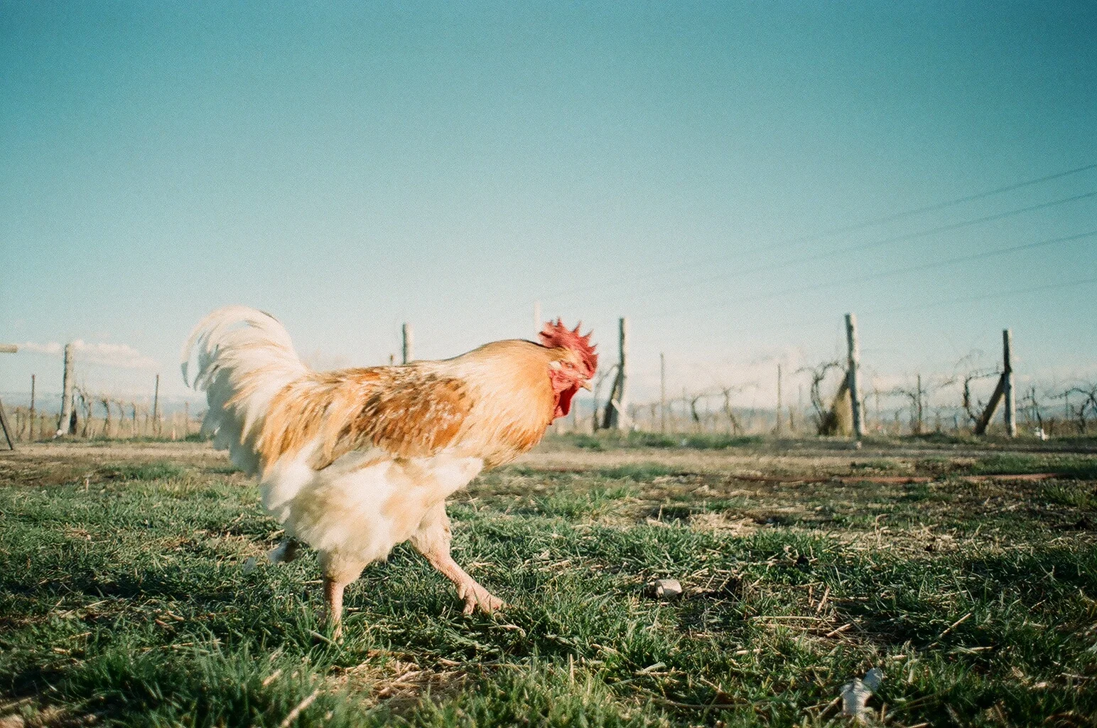 38090008.JPG