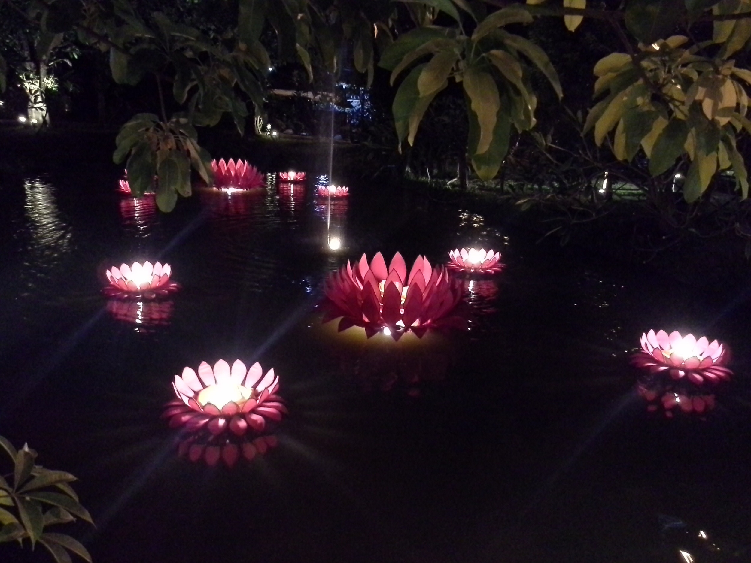 20121112_193719.jpg