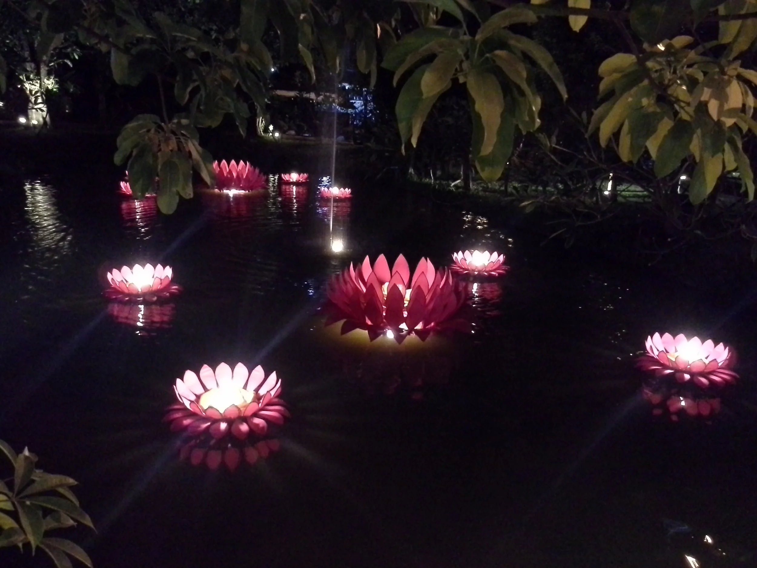 20121112_193719.jpg