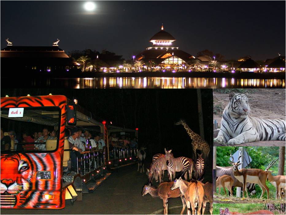 Chiangmai Night Safari.jpg