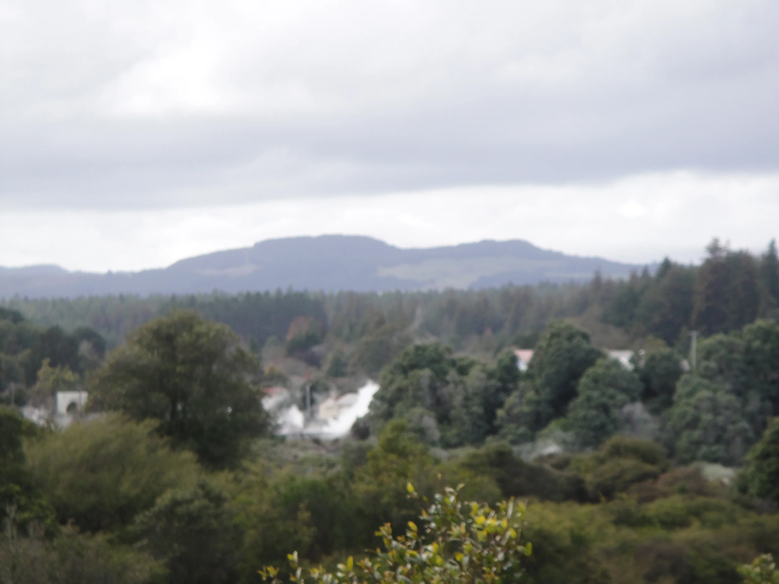 DSC00111.JPG