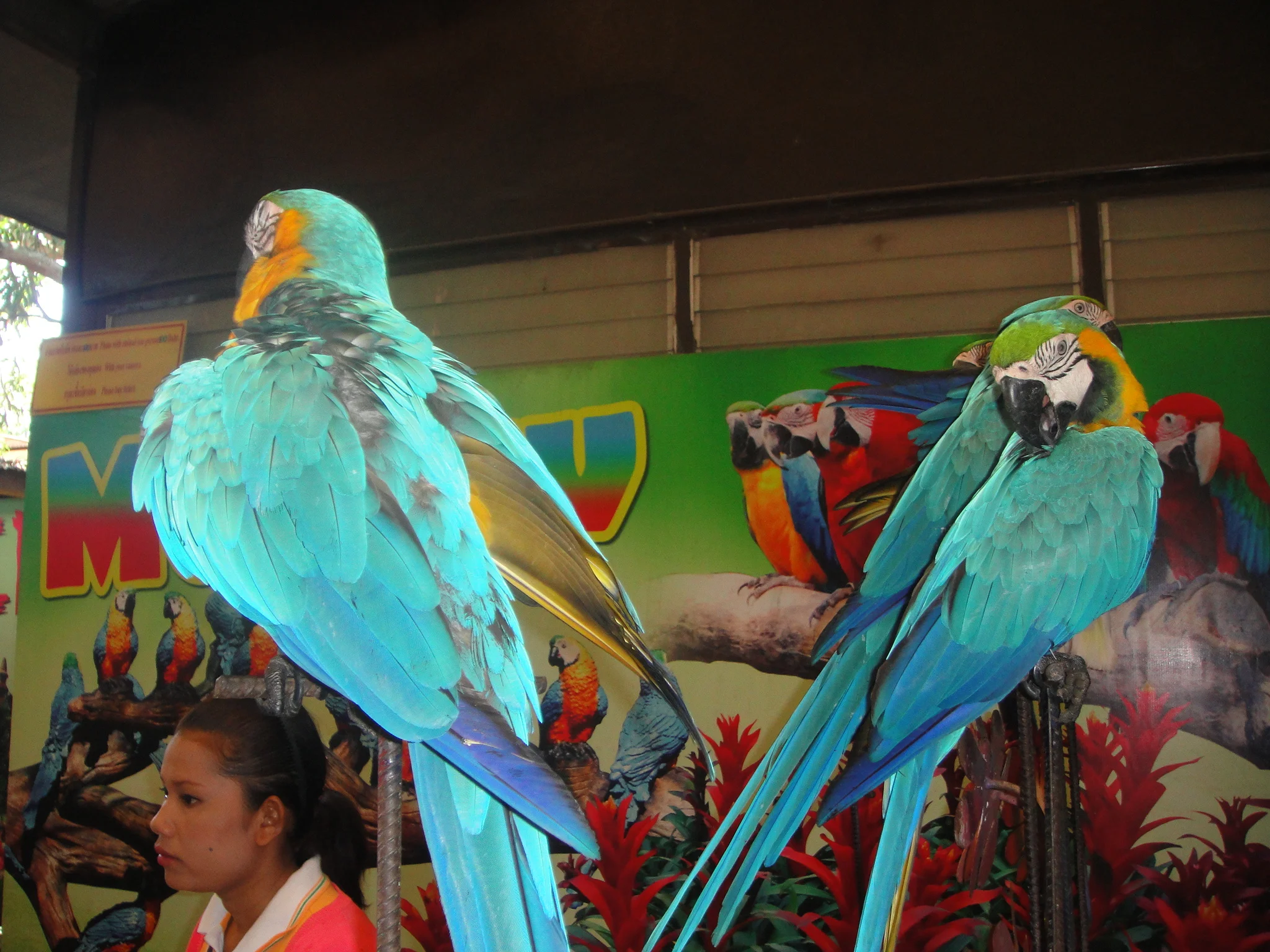 DSC07181.JPG