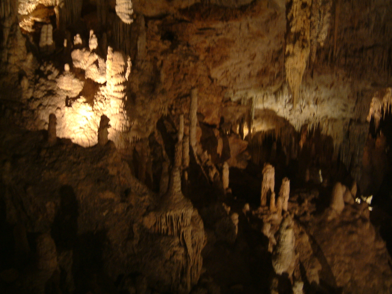 DSCF0019.JPG