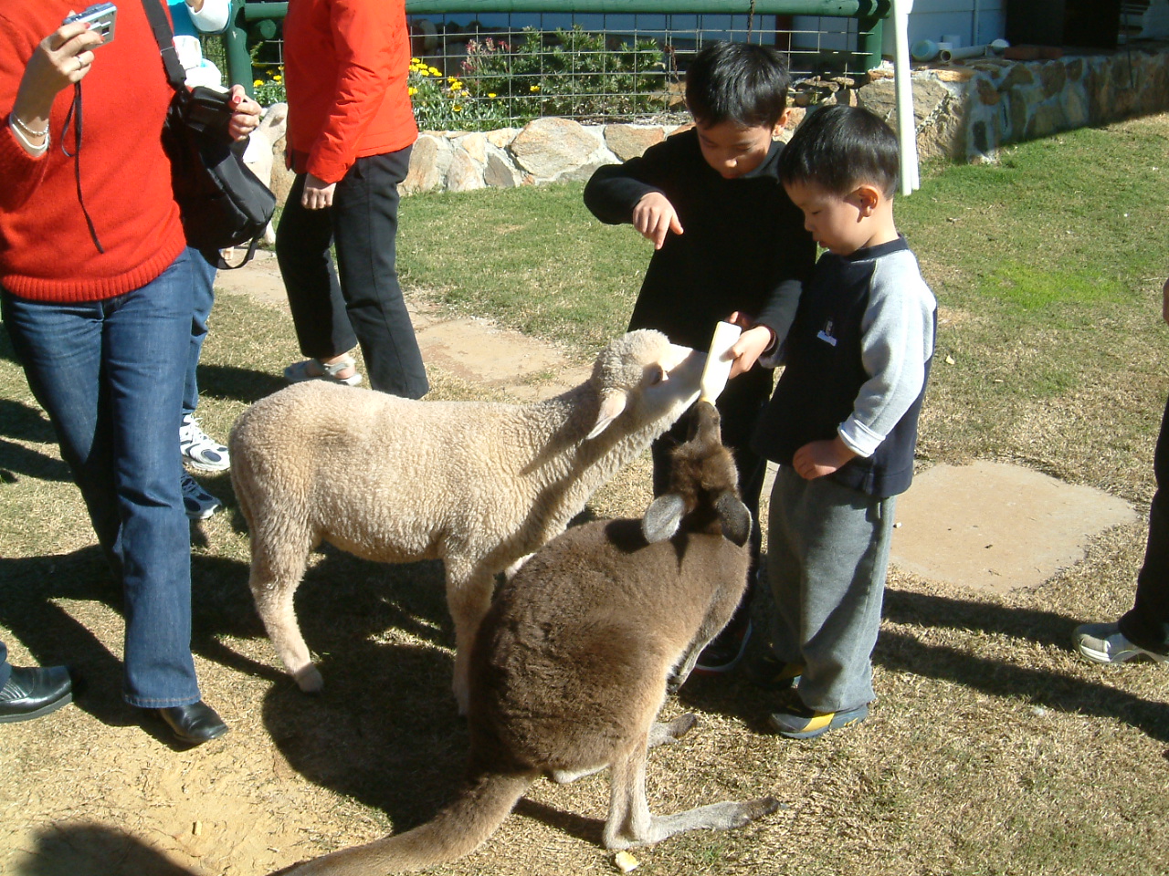 DSCF0068.JPG