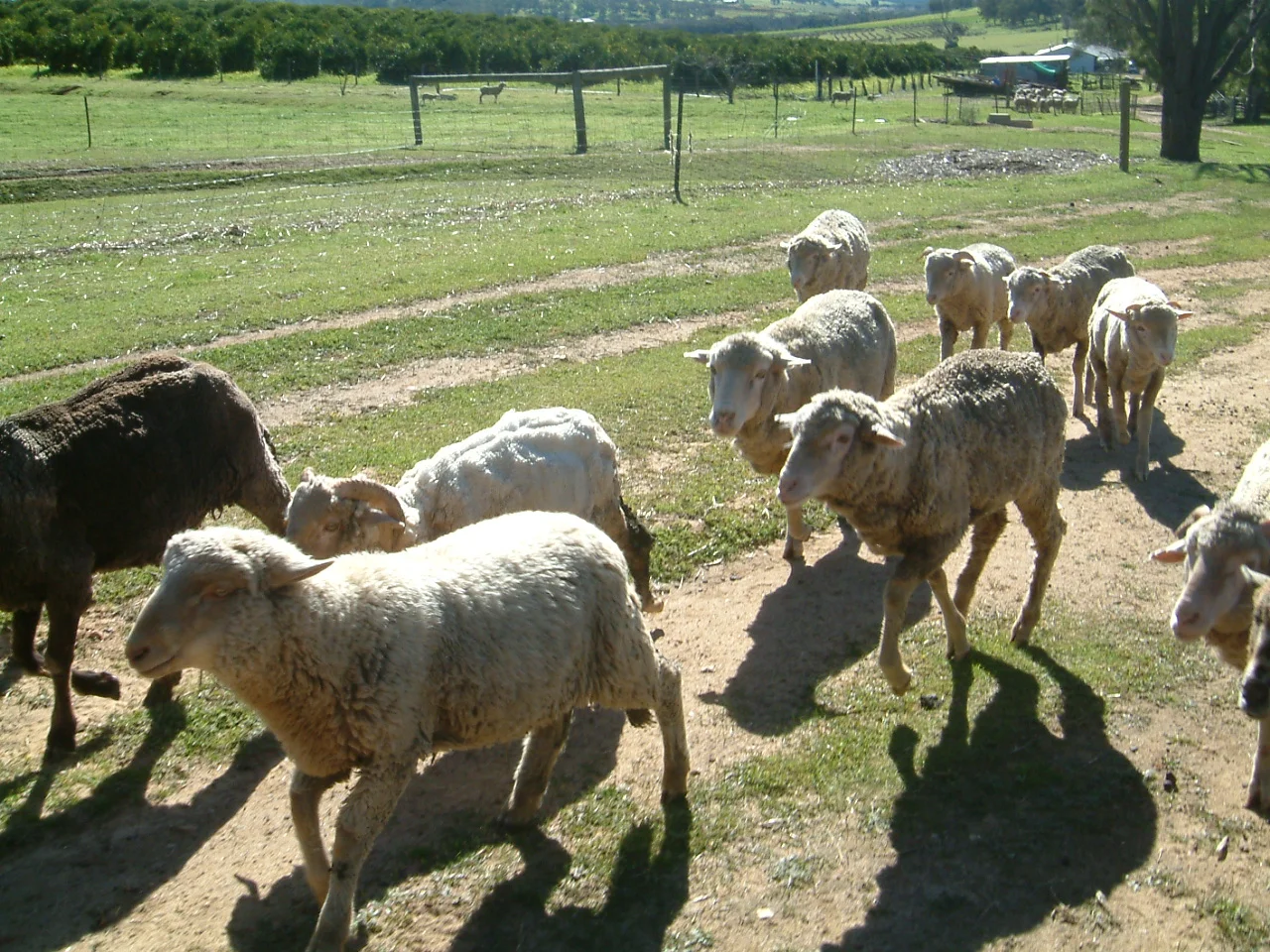 DSCF0075.JPG