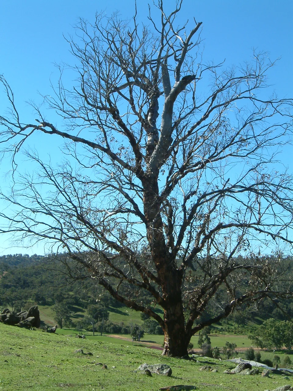 DSCF0086.JPG