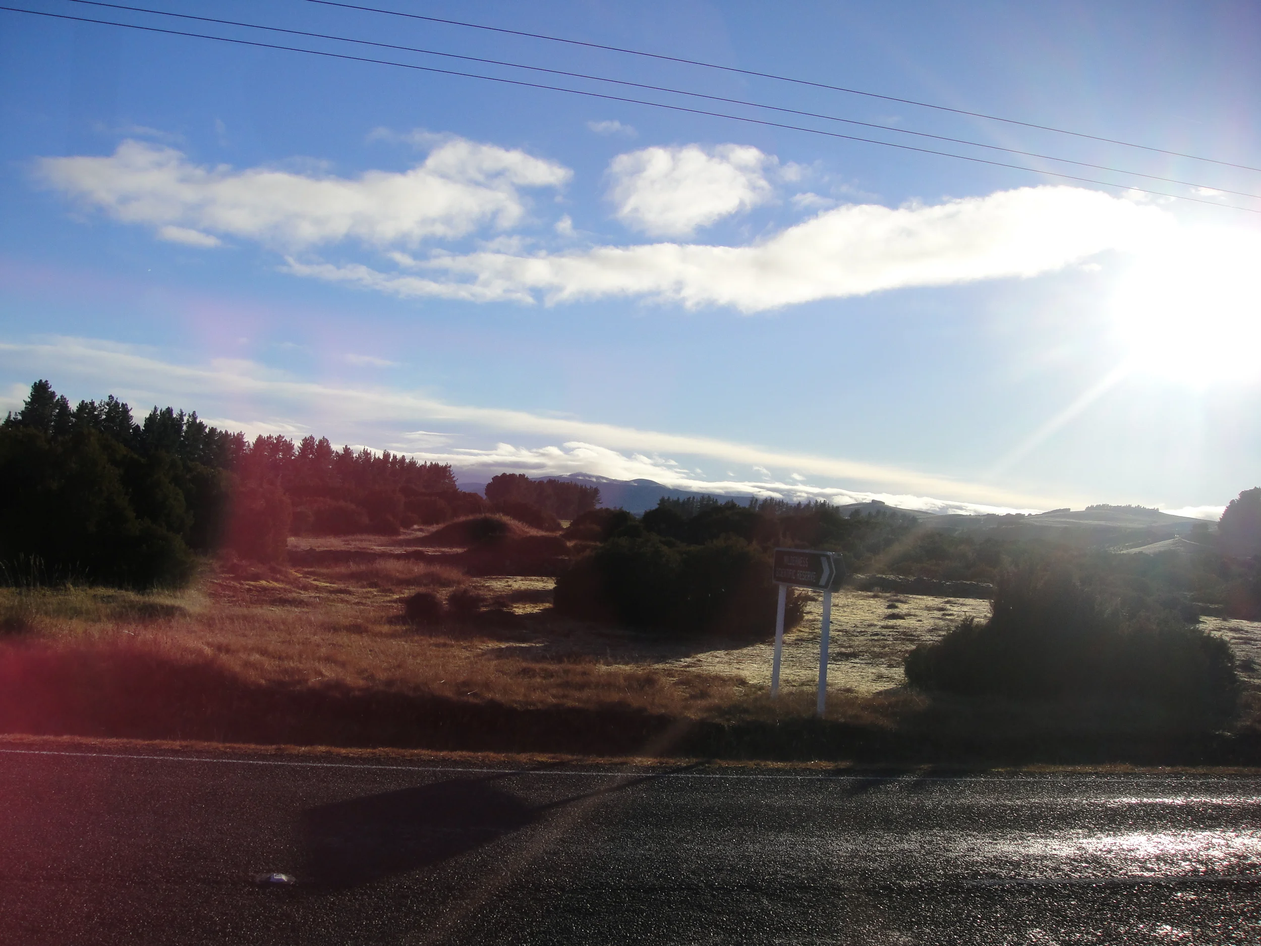 DSC00235.JPG