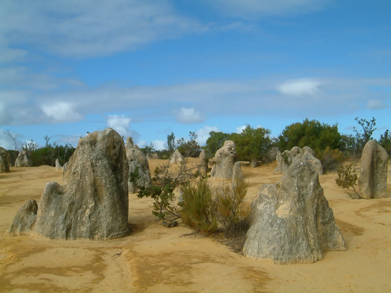DSCF0157.JPG