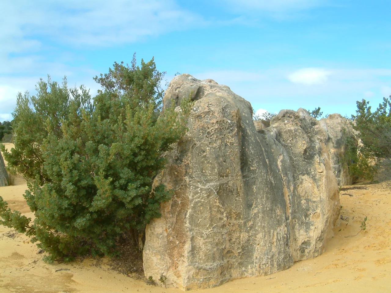 DSCF0160.JPG