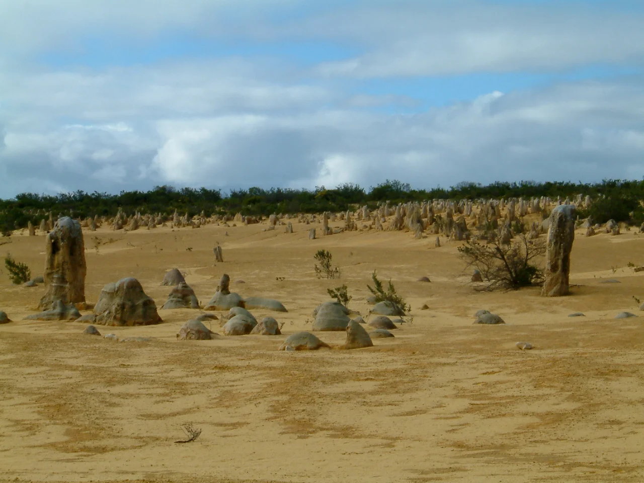 DSCF0161.JPG