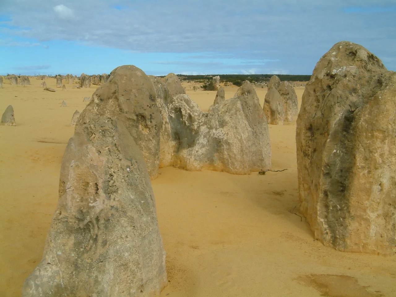 DSCF0171.JPG