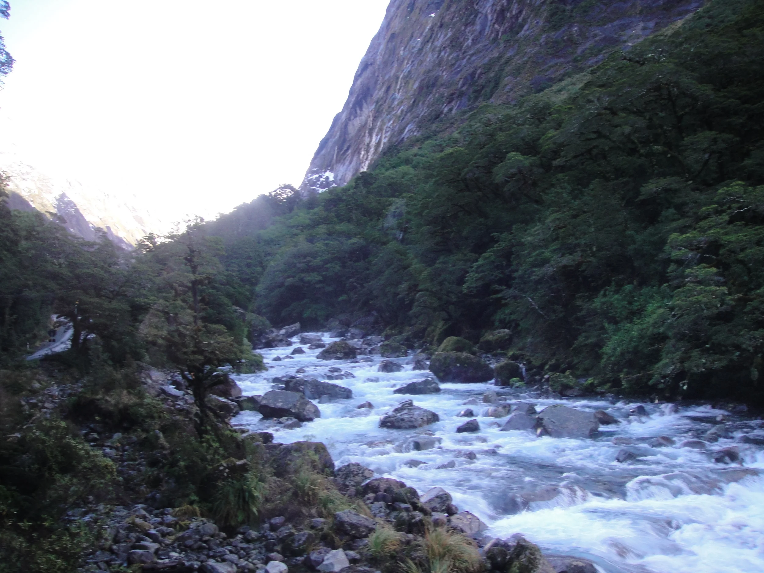DSC00283.JPG