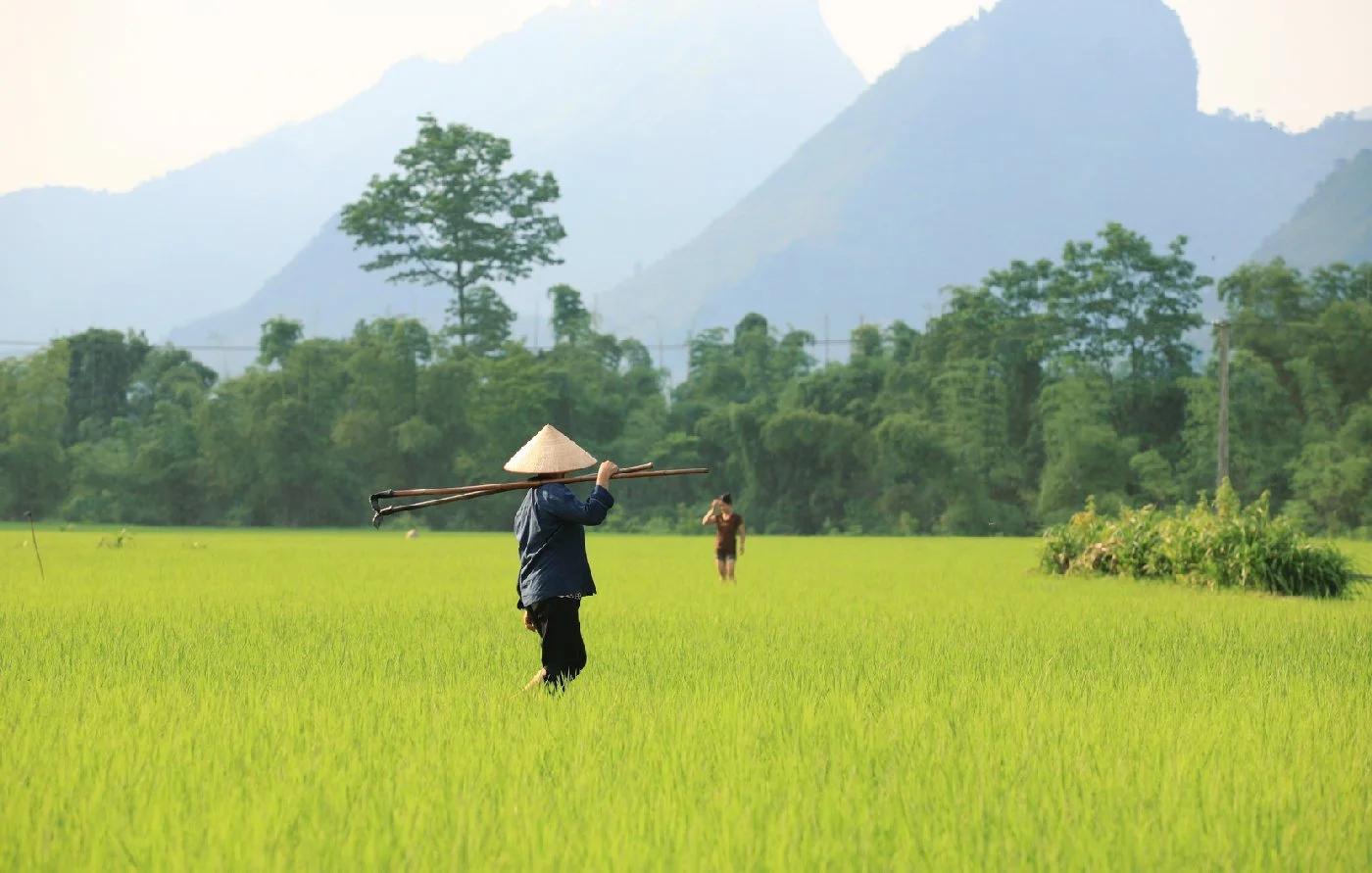 vietnam-babe-site.jpg