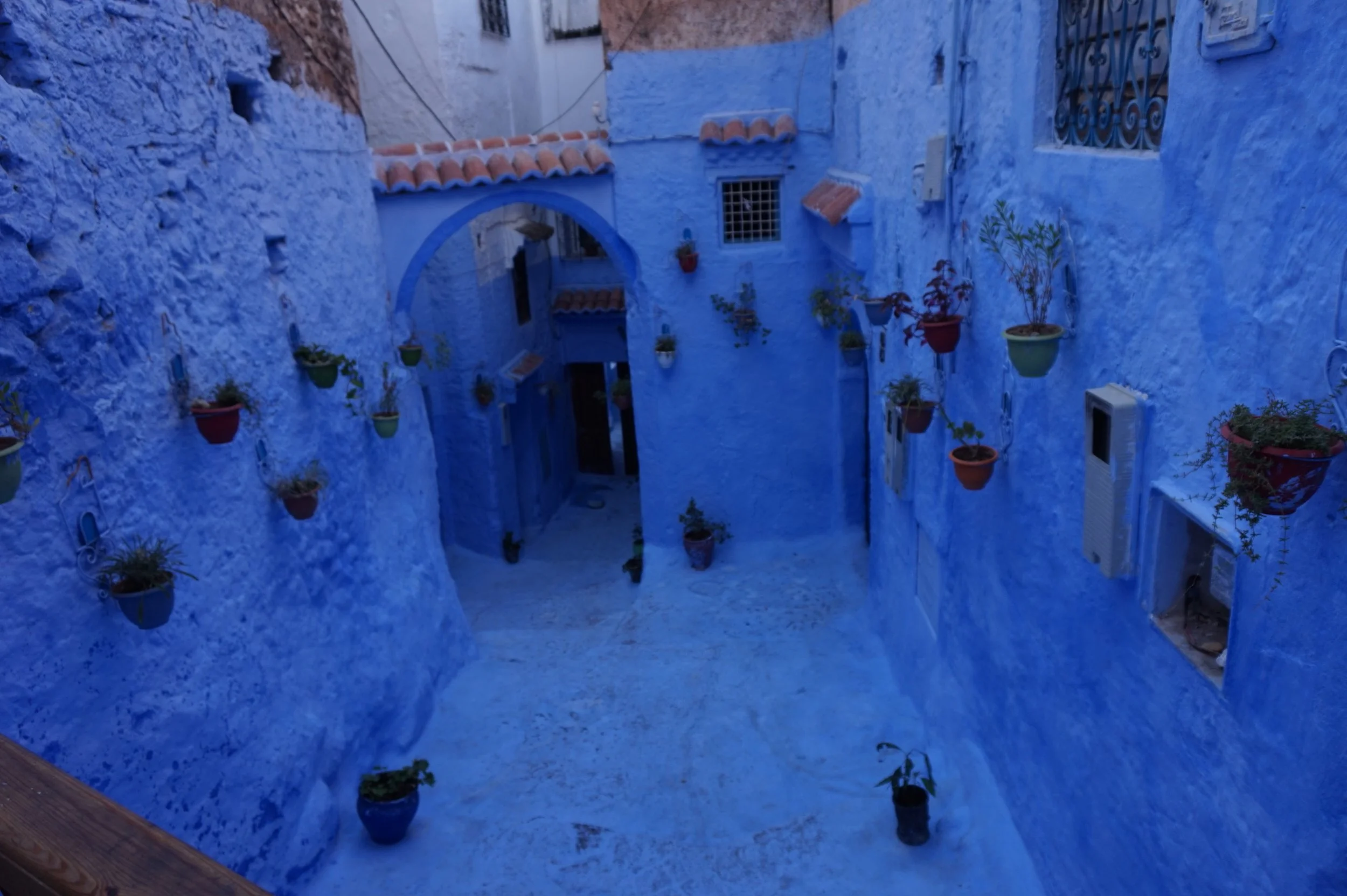 DSC05388.JPG