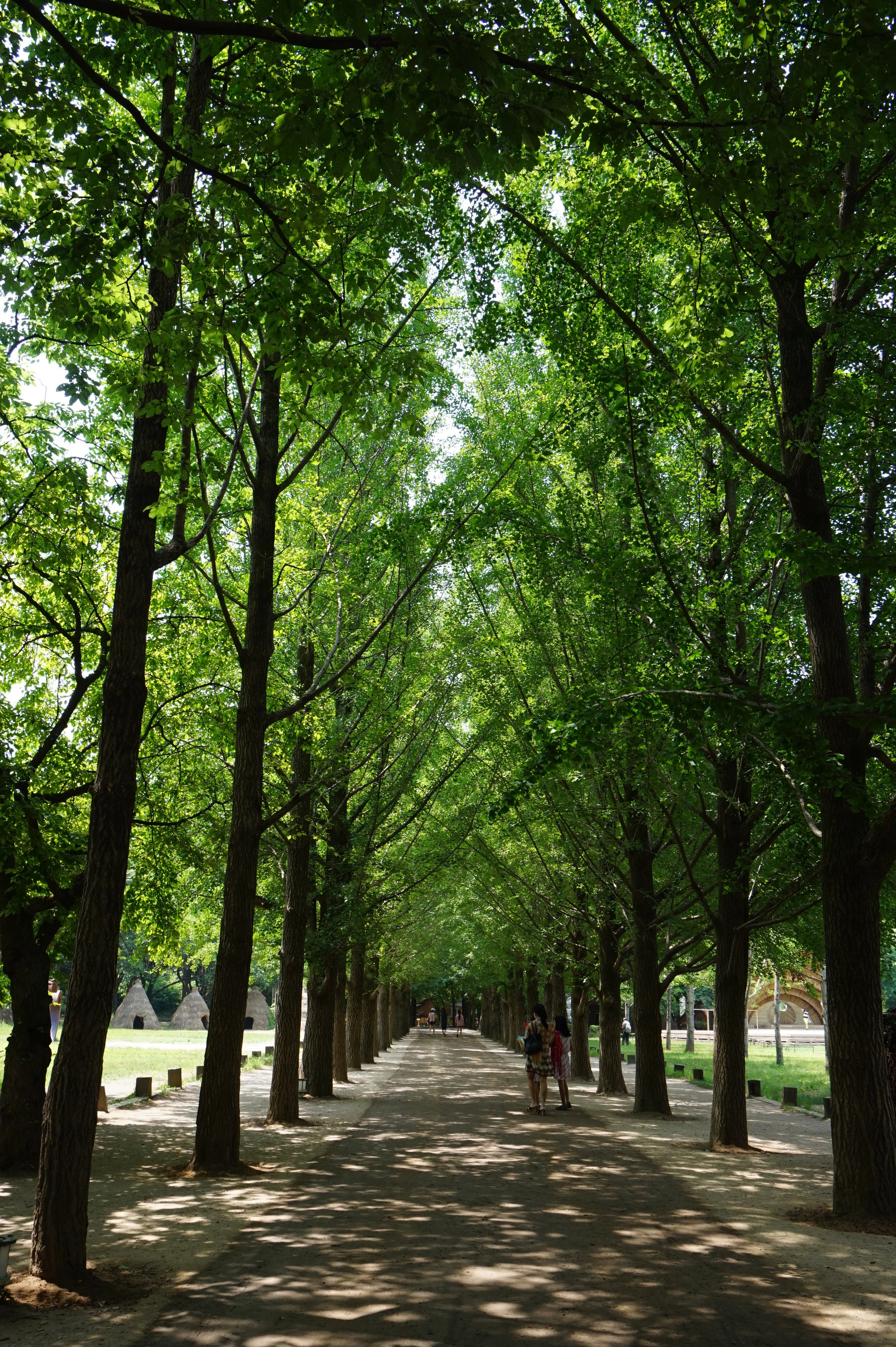 Nami Island