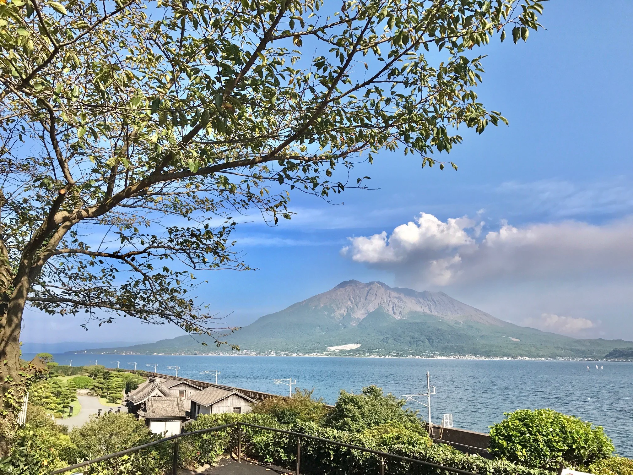SAKURAJIMA.jpg