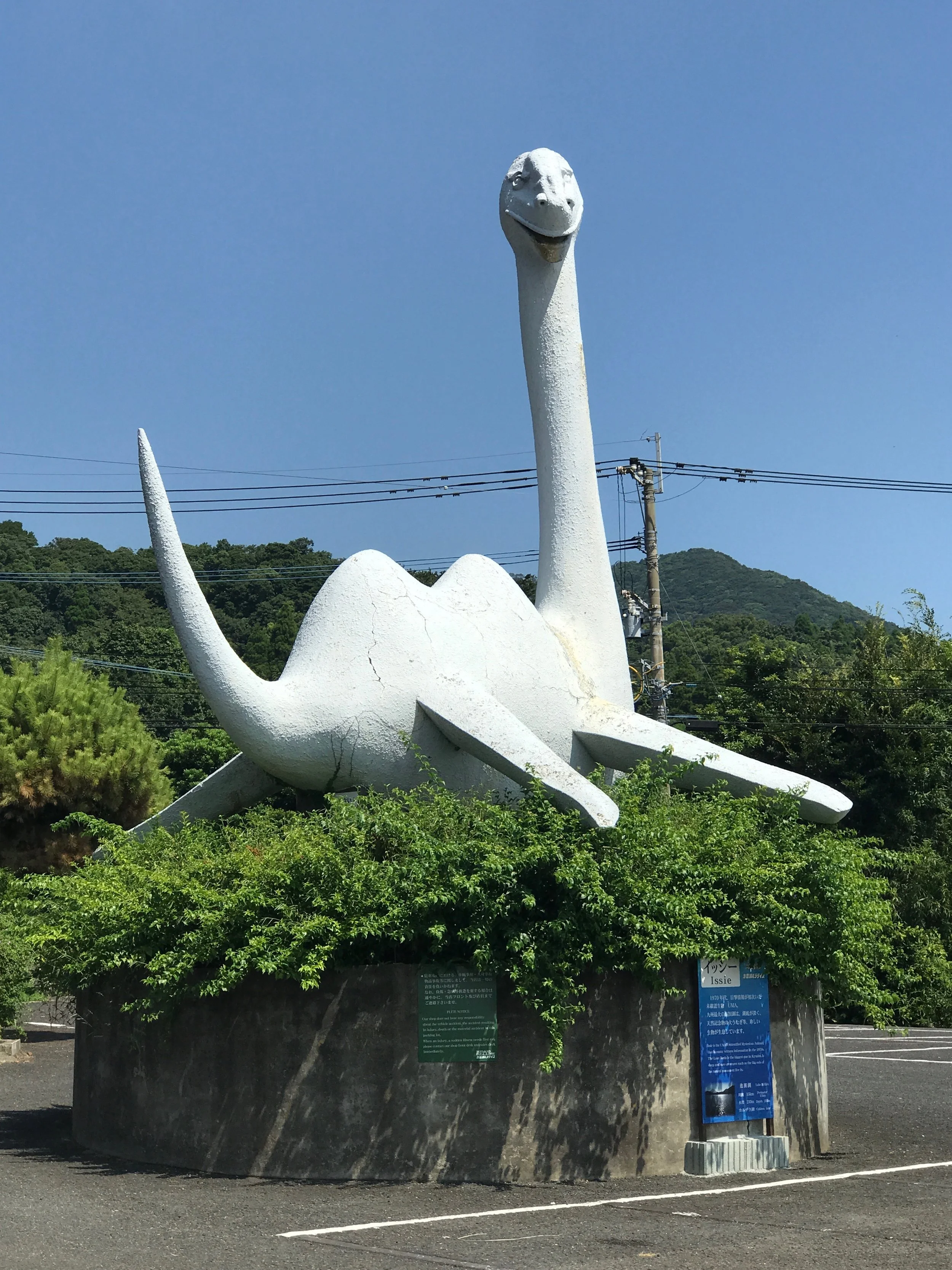 B689C178-CB77-4A9C-B84C-EC23991DD69C.jpeg