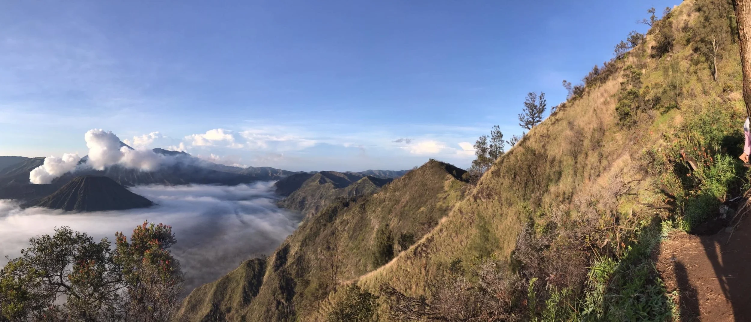 Mt Bromo pano.jpg