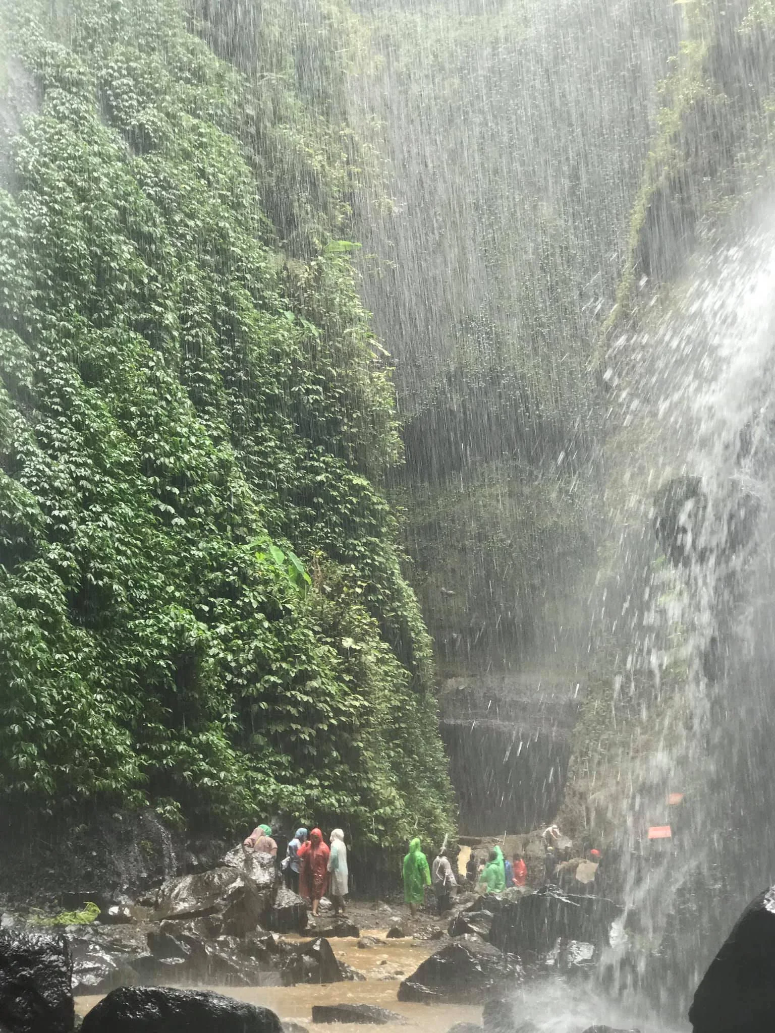 Madakaripura Waterfall.jpg