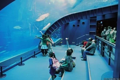 CHURAMI AQUARIIUM 2.jpg
