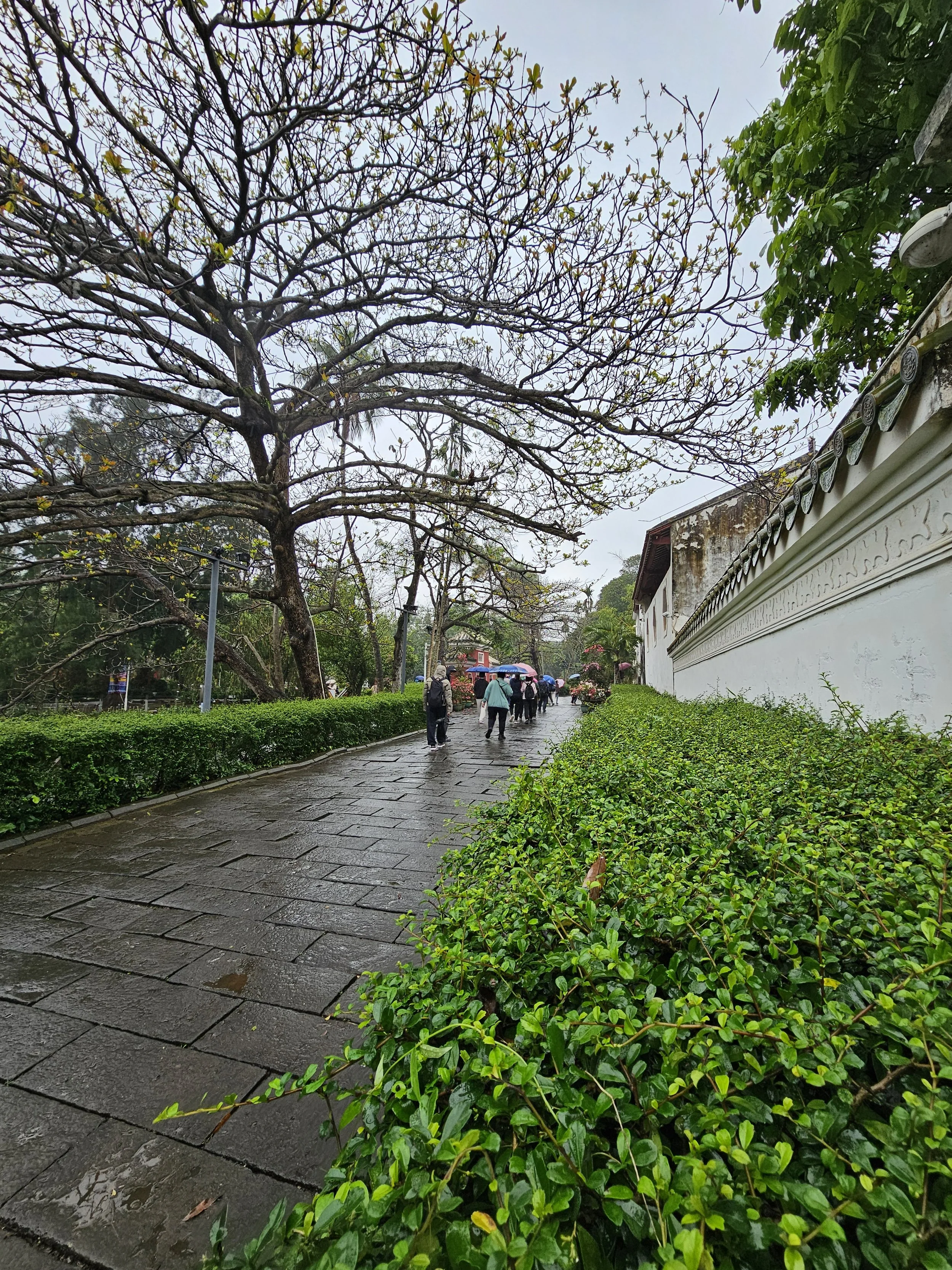 20240301_142643.jpg