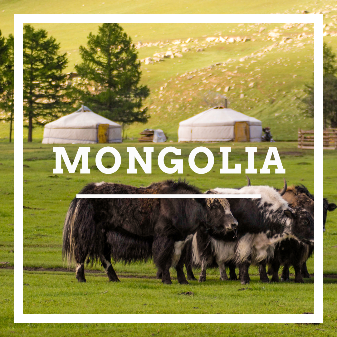 MONGOLIA.png