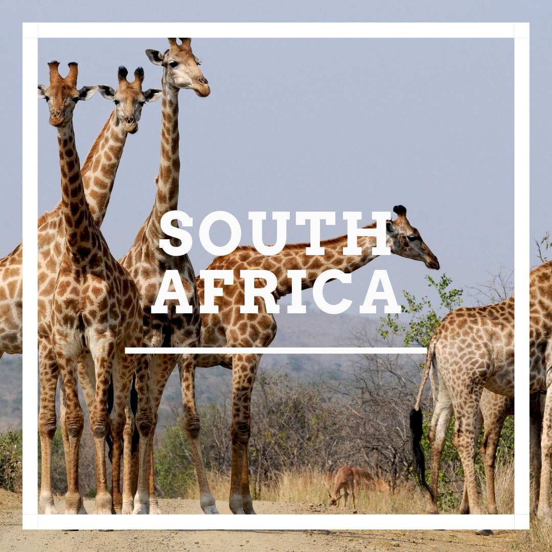 SOUTH AFRICA.png