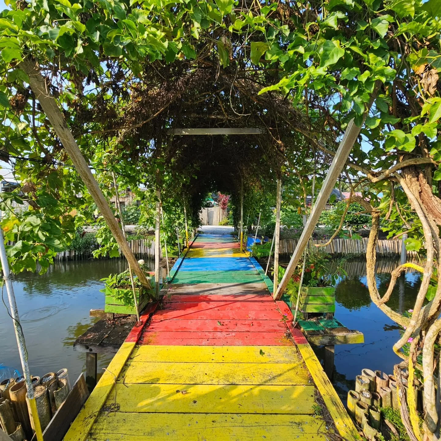 Sun flower garden at Bagan Datuk Sky mirror...