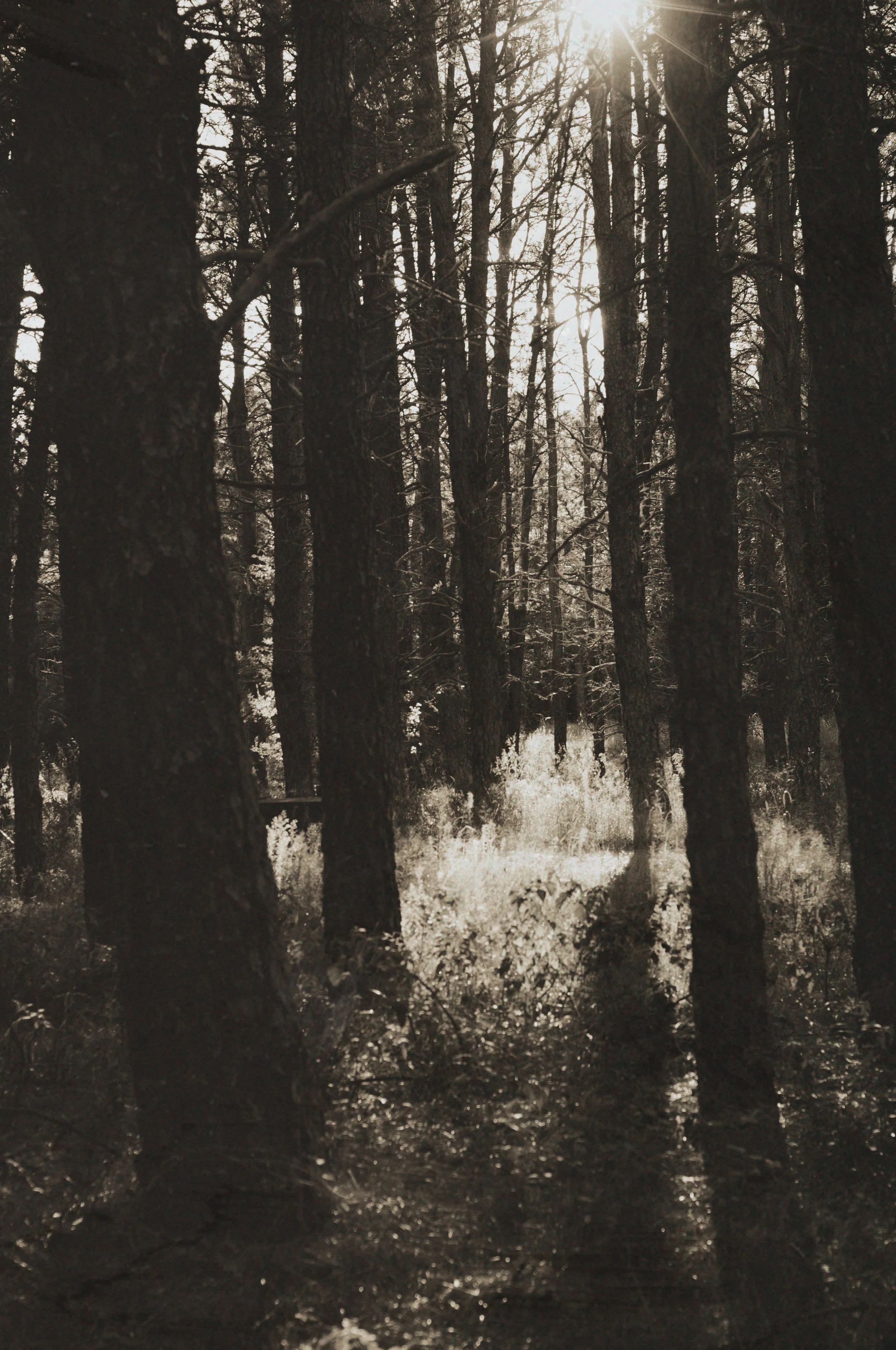 dsc_0422-longexposureoutdoor-sepia2.jpg