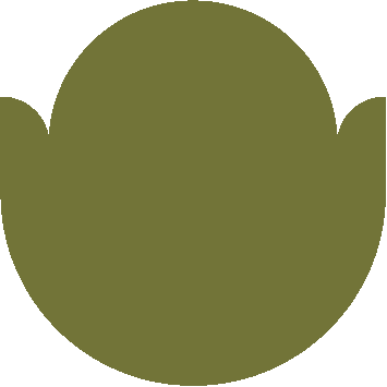 A green flower bud on a white background.