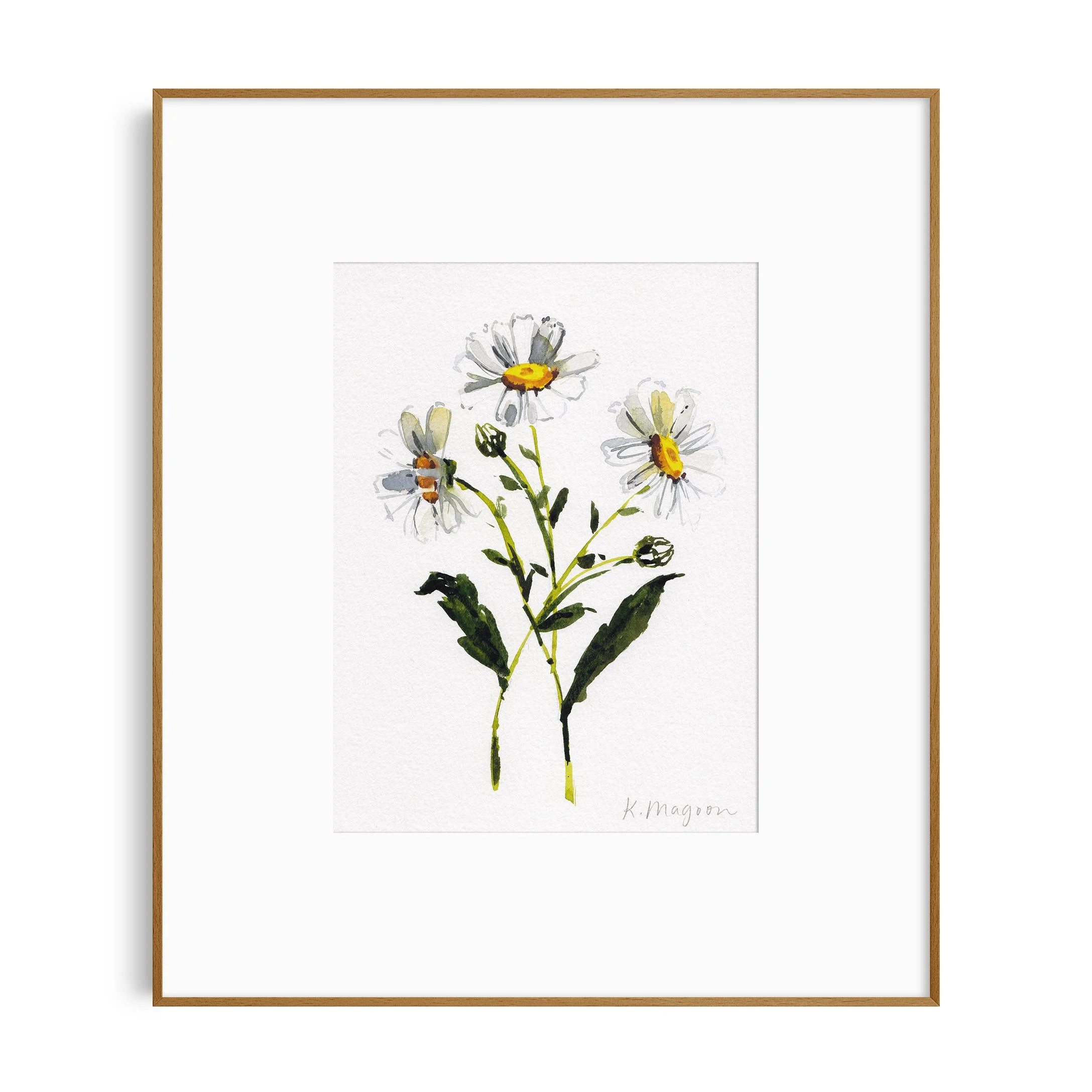 DaisyStudy2_in frame.jpg