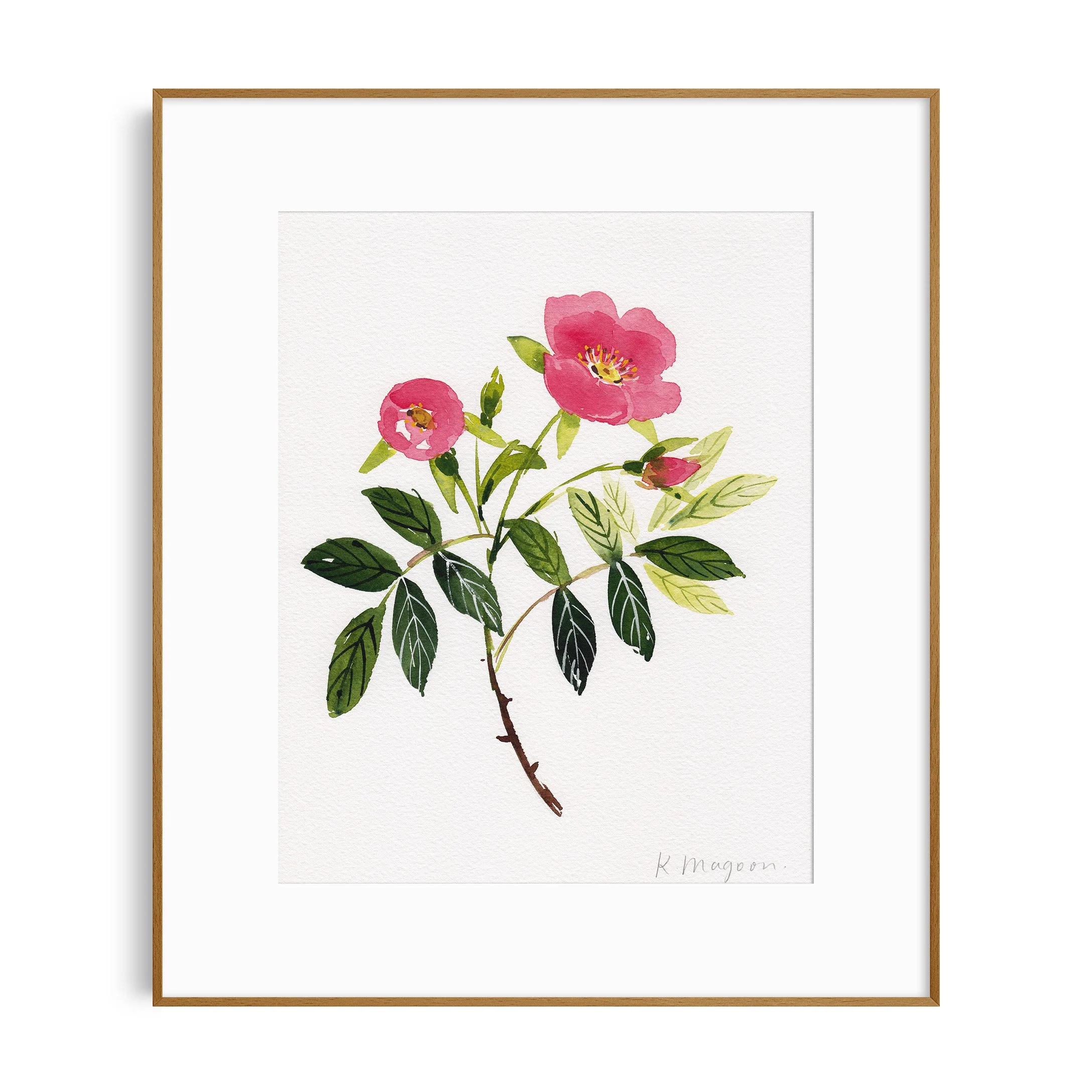 WildRoses3_in frame.jpg