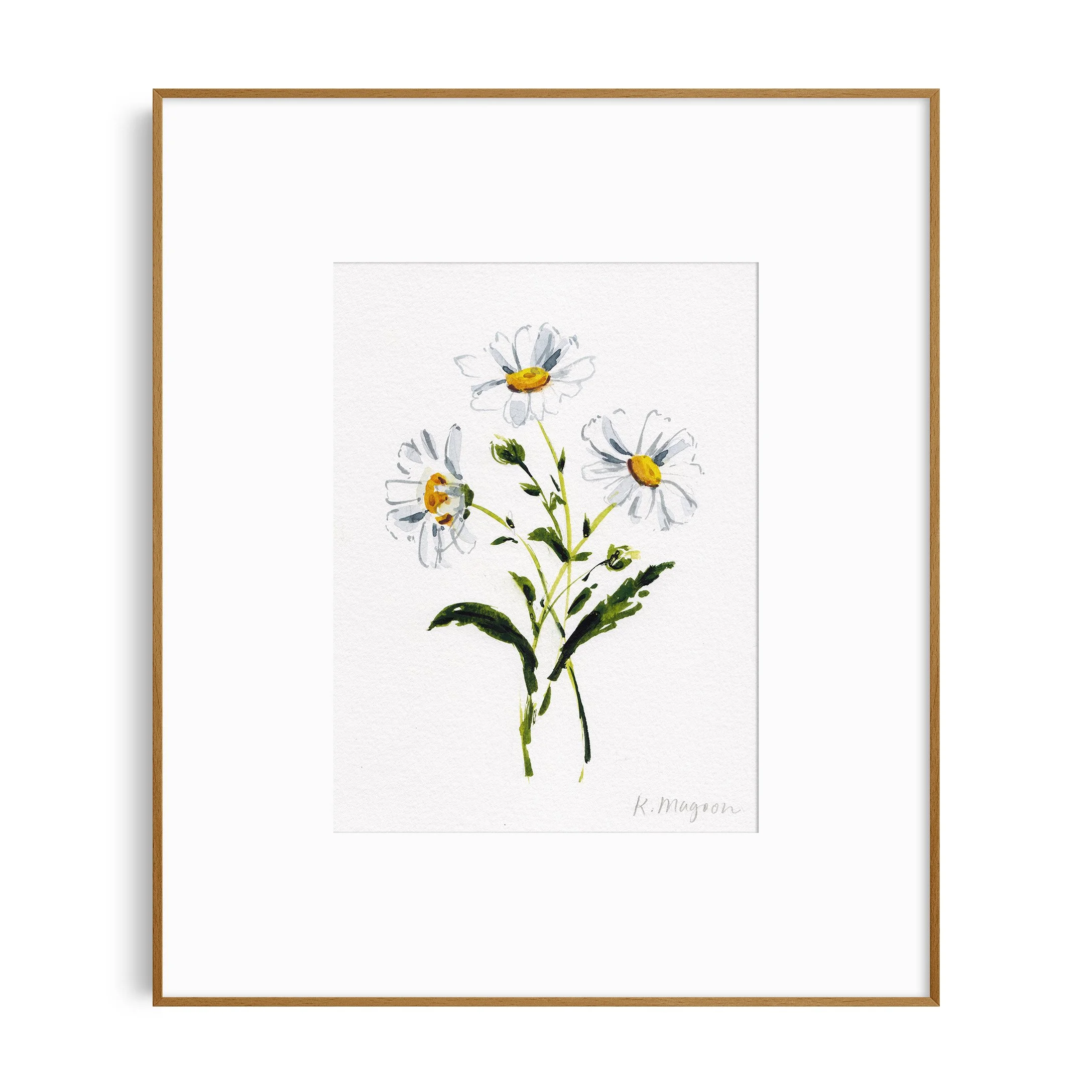 DaisyStudy1_in frame.jpg