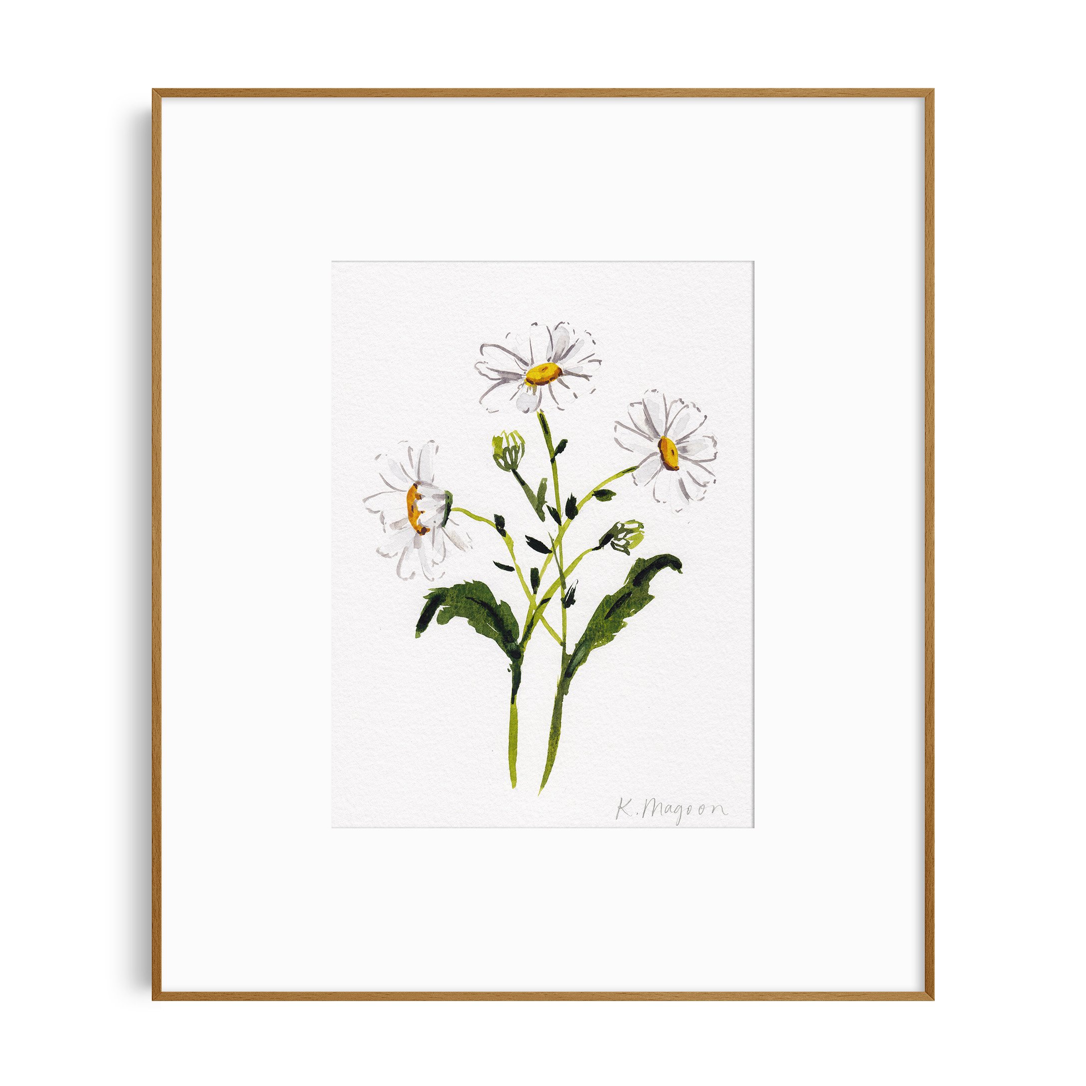 DaisyStudy3_in frame.jpg